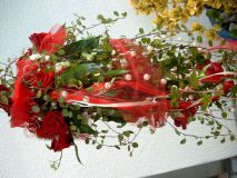 JENOPTIK DIGITAL CAMERA