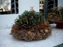 JENOPTIK DIGITAL CAMERA