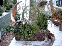 JENOPTIK DIGITAL CAMERA