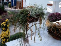 JENOPTIK DIGITAL CAMERA