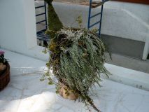 JENOPTIK DIGITAL CAMERA