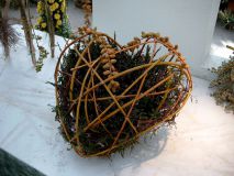 JENOPTIK DIGITAL CAMERA